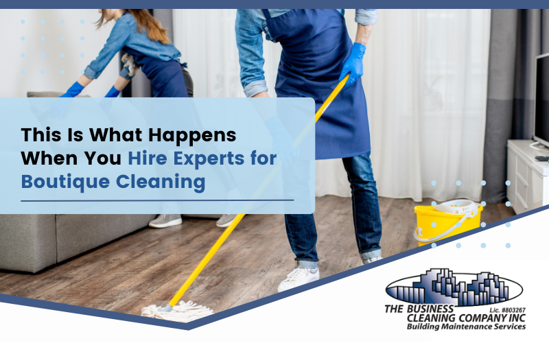 cleaning experts